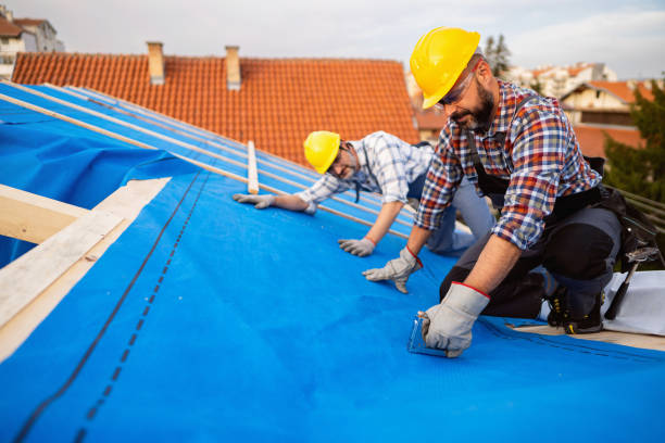 Best Roof Repair Services  in Redlands, CO